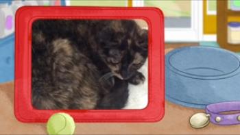 Curious About Me App: Screenshot #4