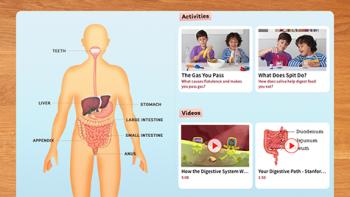 DIY Human Body App: Screenshot #2