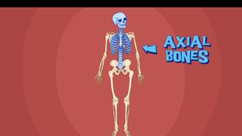 DIY Human Body App: Screenshot #3
