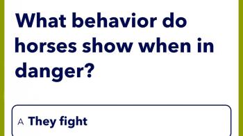 Fiete Quiztime App: Screenshot #3