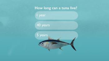 Finding Stubby App: Screenshot #2