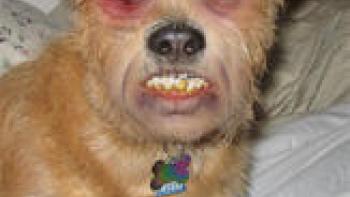 Home Gene-Splicing Kit App: Screenshot #1