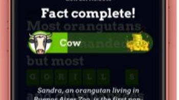 GetFact Screenshot 3