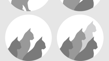 Herdin App: Screenshot #2