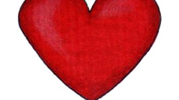 Herdin App: Screenshot #5