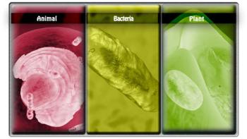 HudsonAlpha iCell App: Screenshot #1