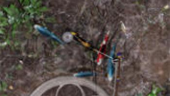 iFish Pond HD App: Screenshot #2