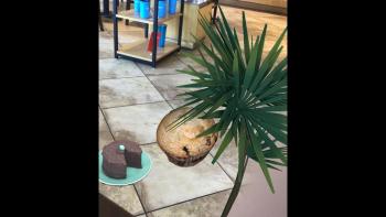 Murge - Video Dialog - Screenshot 4