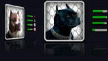 KG Dogfighting App: Screenshot #3