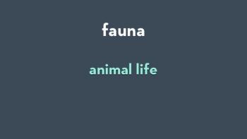 Kids' Vocab - Mindsnacks App: Screenshot #3