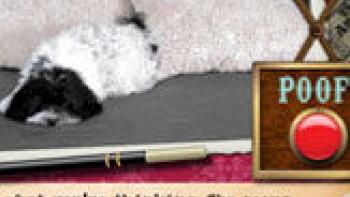 Millie Was Here, Book 1: Meet Millie App: Screenshot #3