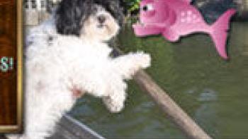 Millie & The Lost Key - Millie Was Here, Book 2 App: Screenshot #2