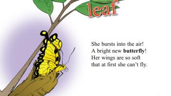 My Oh My-A Butterfly! App: Screenshot #2