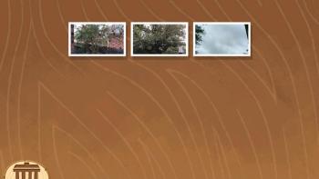 Nature Cat's Great Outdoors App: Screenshot #2