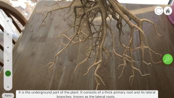 Plantale App: Screenshot #4