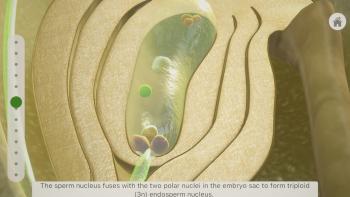 Plantale App: Screenshot #2