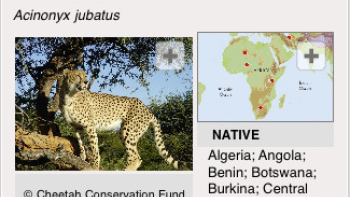 Species on the Edge App: Screenshot #2