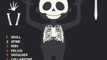 This is my body - Anatomy for kids App: Screenshot #2