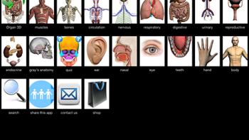 Visual Anatomy App: Screenshot #1