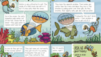 WEVY App: Screenshot #5