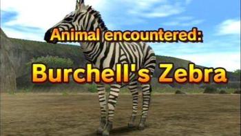 Animal Kingdom: Wildlife Expedition Game: Screenshot #2