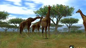 Animal Kingdom: Wildlife Expedition Game: Screenshot #3