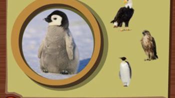 LeapFrog Explorer Learning Game: Super Animal Genius Game: Screenshot #2