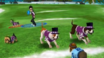 Jerry Rice and Nitus' Dog Football Game: Screenshot #2