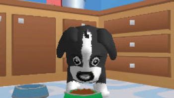 Dora & Kai-Lan's Pet Shelter Game: Screenshot #2