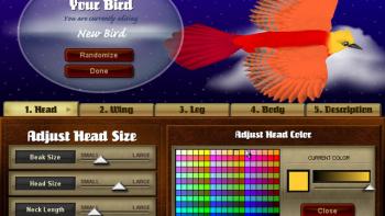 Snapshot Adventures: Secret of Bird Island Game: Screenshot #3