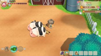 Story of Seasons: Friends of Mineral Town screenshot #4