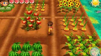 Story of Seasons: Trio of Towns Screenshot #1
