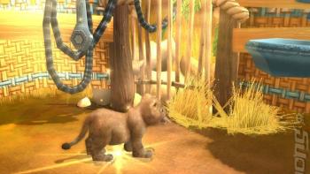 Wildlife Camp Game: Screenshot #3