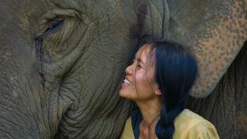 Love & Bananas: An Elephant Story Movie: Scene #2