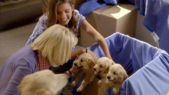 3 Holiday Tails Movie: Scene #1