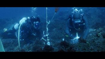 8 Billion Angels Movie: Scene #1