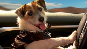 A Doggone Adventure Movie: Scene #1