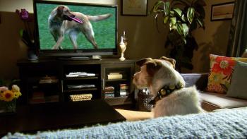 A Dog's Life Movie: Scene #1