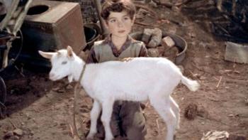 A Kid for Two Farthings Movie: Scene #2