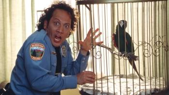 The Animal: Rob Schneider as Marvin caught trying to eat a bird
