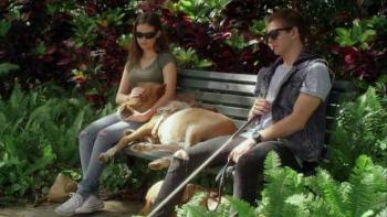 Apple of My Eye Movie: Bailey, Apple, and Sebastian