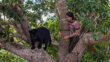 Autumn and the Black Jaguar movie: A teen girl sits on a tree branch next to a black jaguar