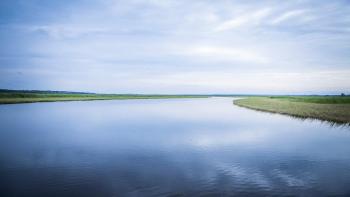Bad River movie: The Bad River looks peacefully blue with blue sky above it and tall green grass on its banks