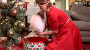 A Belle for Christmas Movie: Scene #2