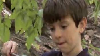 Billy Owens and the Secret of the Runes Movie: Scene #2