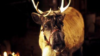 Blizzard Movie: Scene #1