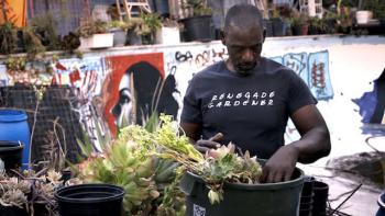 Can You Dig This? Movie: Scene #1