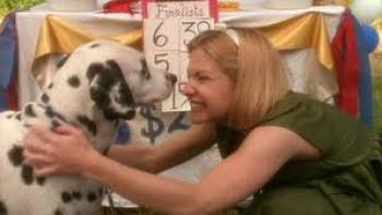 Operation Dalmatian: The Big Adventure Movie: Scene #1
