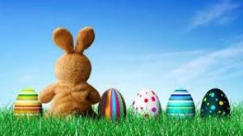 Easter Land: Easter eggs in a line with bunny