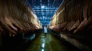 Eating Animals Movie: Scene #2